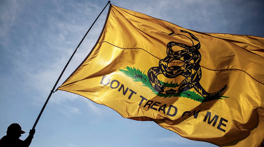 The USA's Gadsden Flag: The Real Meaning