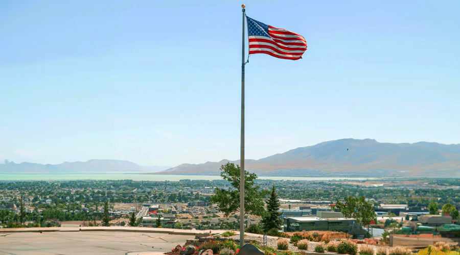 80 Ft Commercial Flagpole