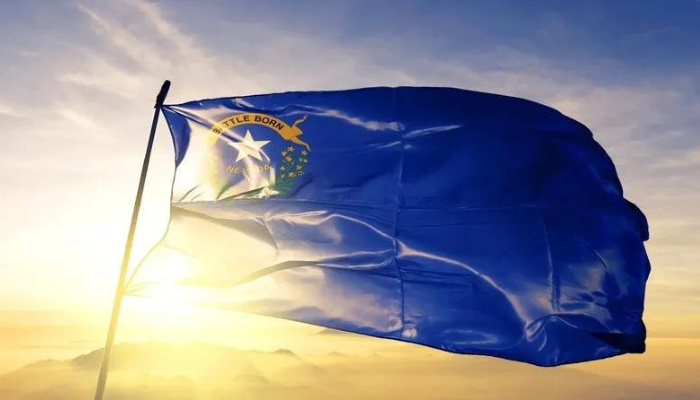 The State Flag of Nevada