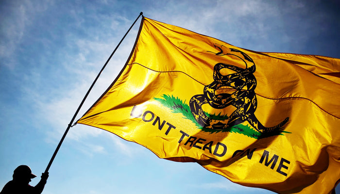 The USA's Gadsden Flag: The Real Meaning