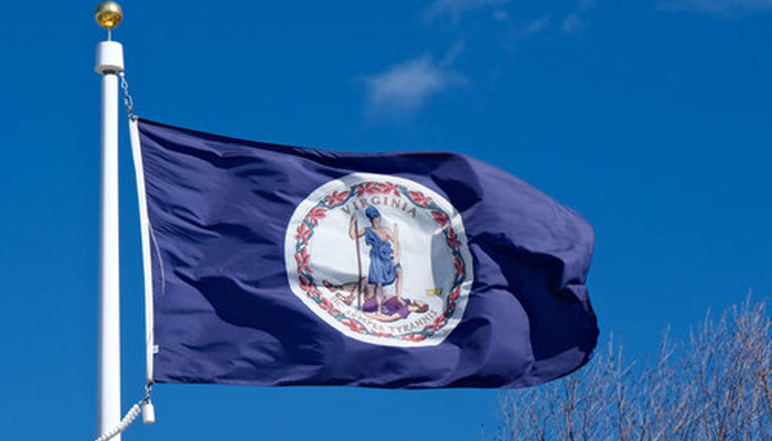 The State Flag of Virginia