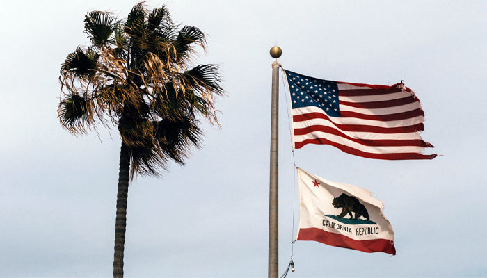 The California State Flag