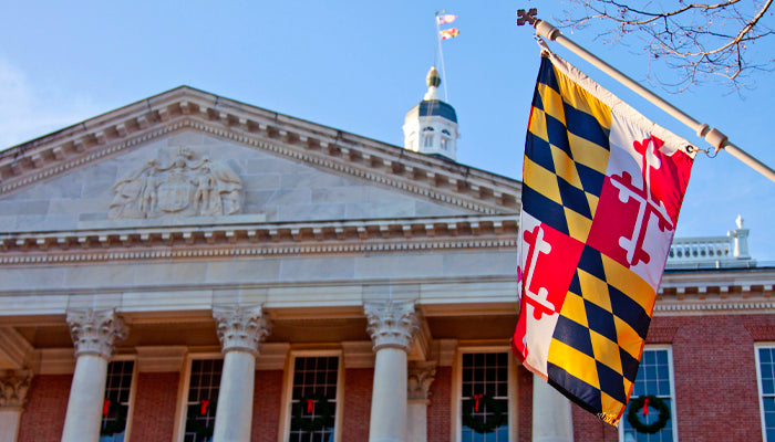 The State Flag of Maryland