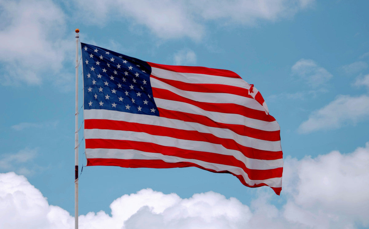 sectional vs telescoping flagpole