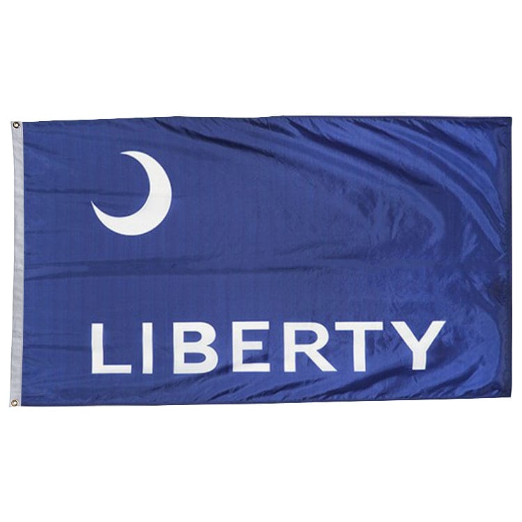 Fort Moultrie Flag