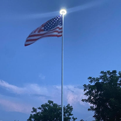 Magnum Solar Flagpole Disk Light